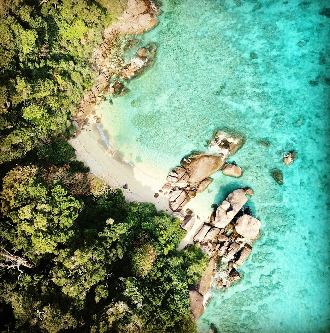 Tropical setting